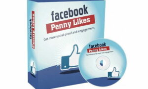 Facebook Penny Likes