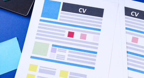 Best CV Services for Professional Career Success - Brandme4job - UK